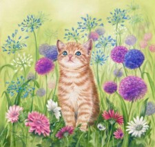 Ginger Kitten in Flowers