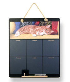 JP Cat with cushions daily diary chalkboard high res