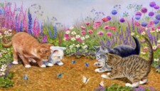 Kittens and butterflies