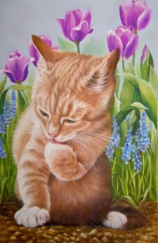amongst the flowers
