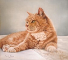 aristocat