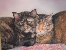 best of friends