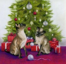 christmas fun
