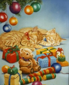 christmas kittens