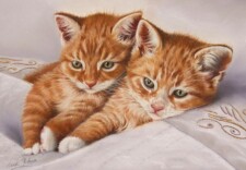 cuddly kittens
