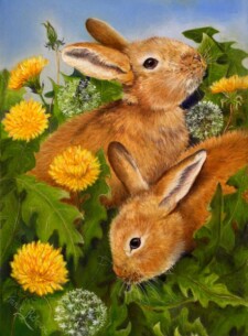 dandelions and rabbits