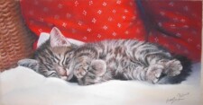 dreaming