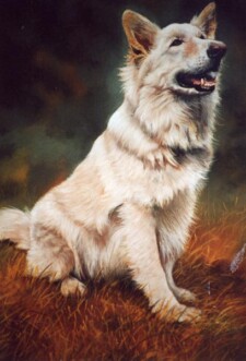 good boy 01