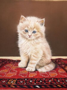 innocence