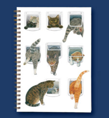 janet pidoux cat note book ca35