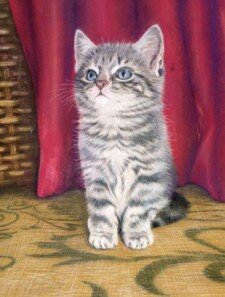 little blue eyes
