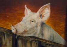 miss piggy