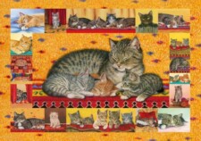 purr fect puzzle