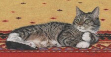 sam on red rug