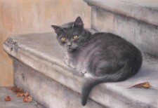 stone step