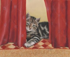 tabby and red curtain