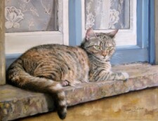 the windowsill